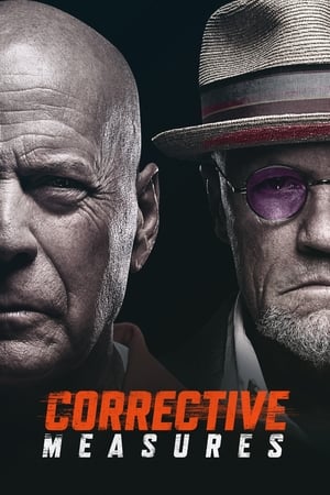 Corrective Measures 2022 Hindi Dual Audio HDRip – 720p – 480p